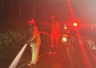 Tim Damkar Sektor Ciawi membersihkan solar yang tumpah di Jalan Gadog, Kecamatan Megamendung, Kabupaten Bogor. Foto/dok Damkar.