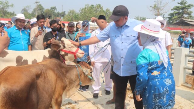 Pasar Hewan Jonggol Diperkuat sebagai Infrastruktur Ekonomi Peternakan